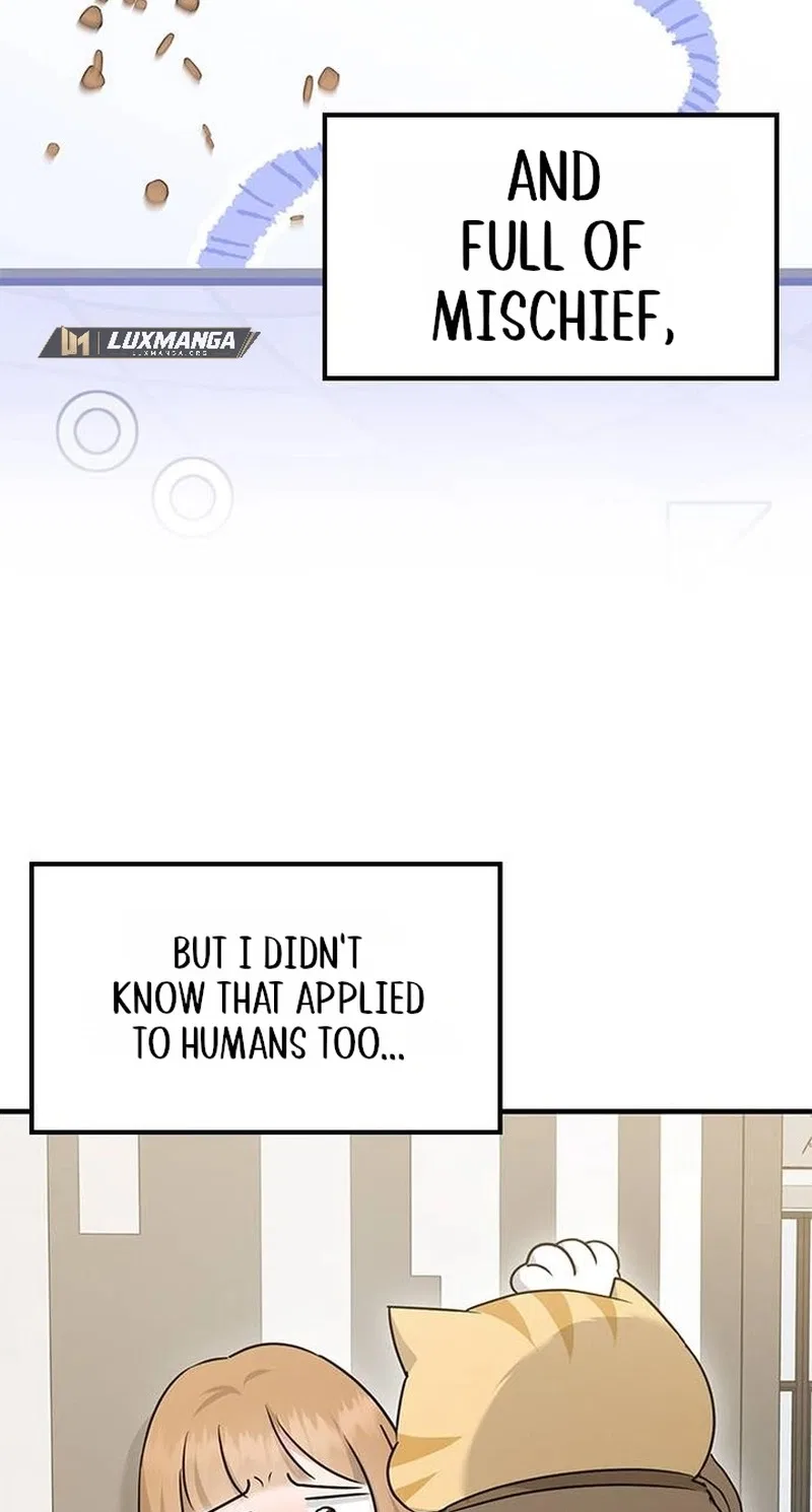 If Everyone in the World Were a Cat Chapter 10 – Page 40