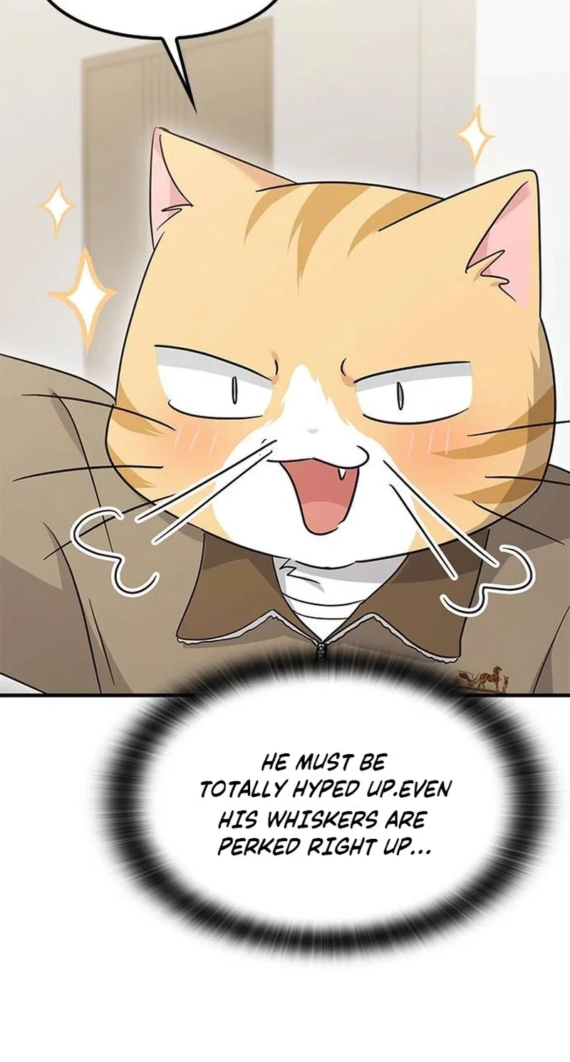 If Everyone in the World Were a Cat Chapter 10 – Page 42