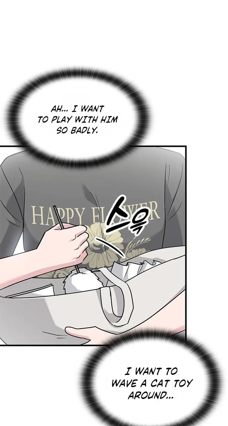 If Everyone in the World Were a Cat Chapter 10 – Page 43