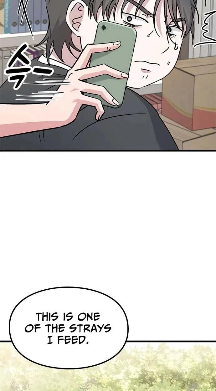 If Everyone in the World Were a Cat Chapter 8 – Page 33