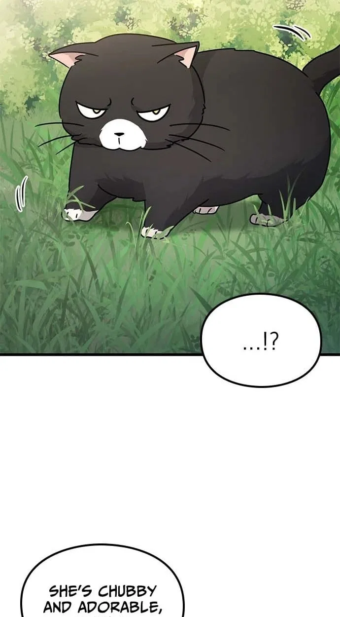 If Everyone in the World Were a Cat Chapter 8 – Page 34