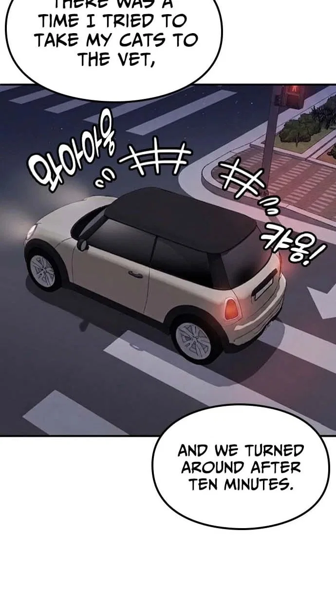 If Everyone in the World Were a Cat Chapter 8 – Page 43
