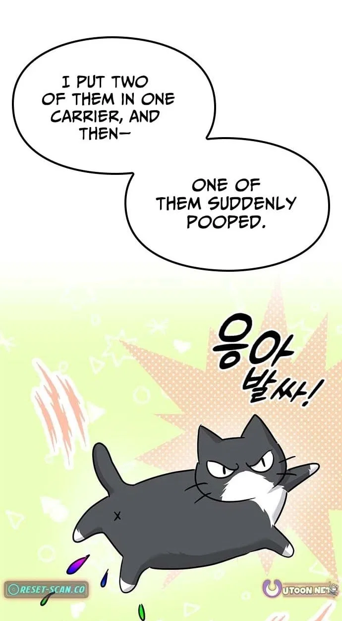 If Everyone in the World Were a Cat Chapter 8 – Page 44