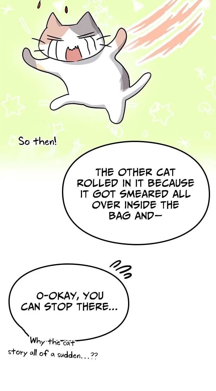 If Everyone in the World Were a Cat Chapter 8 – Page 45