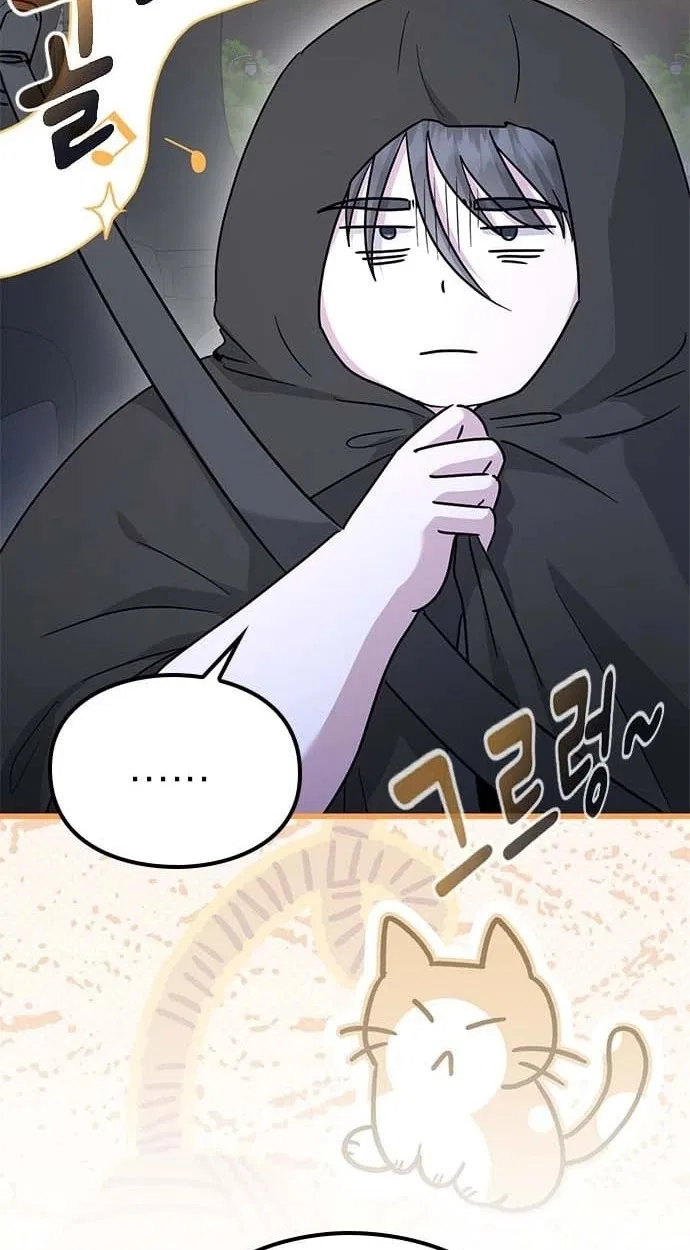 If Everyone in the World Were a Cat Chapter 8 – Page 67
