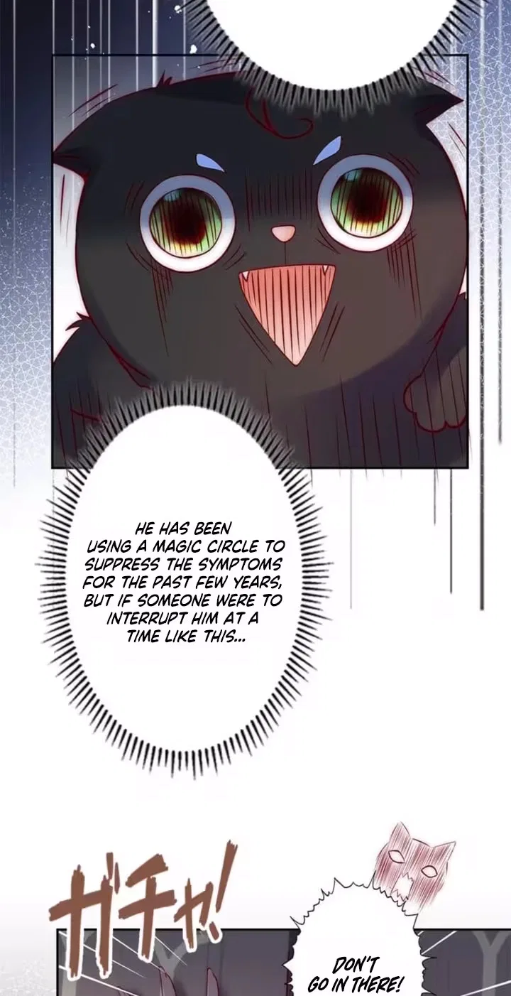 The Black Dragon’s Frenzied Obsession Chapter 25 – Page 44