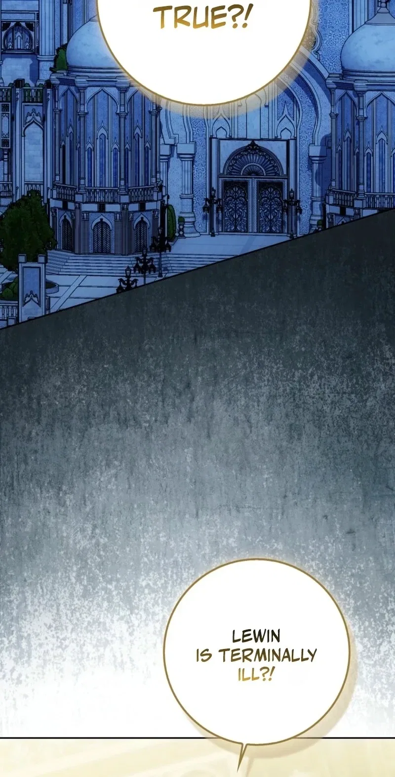 The Maniacs are Obsessed With the Fake Chapter 63 – Page 3