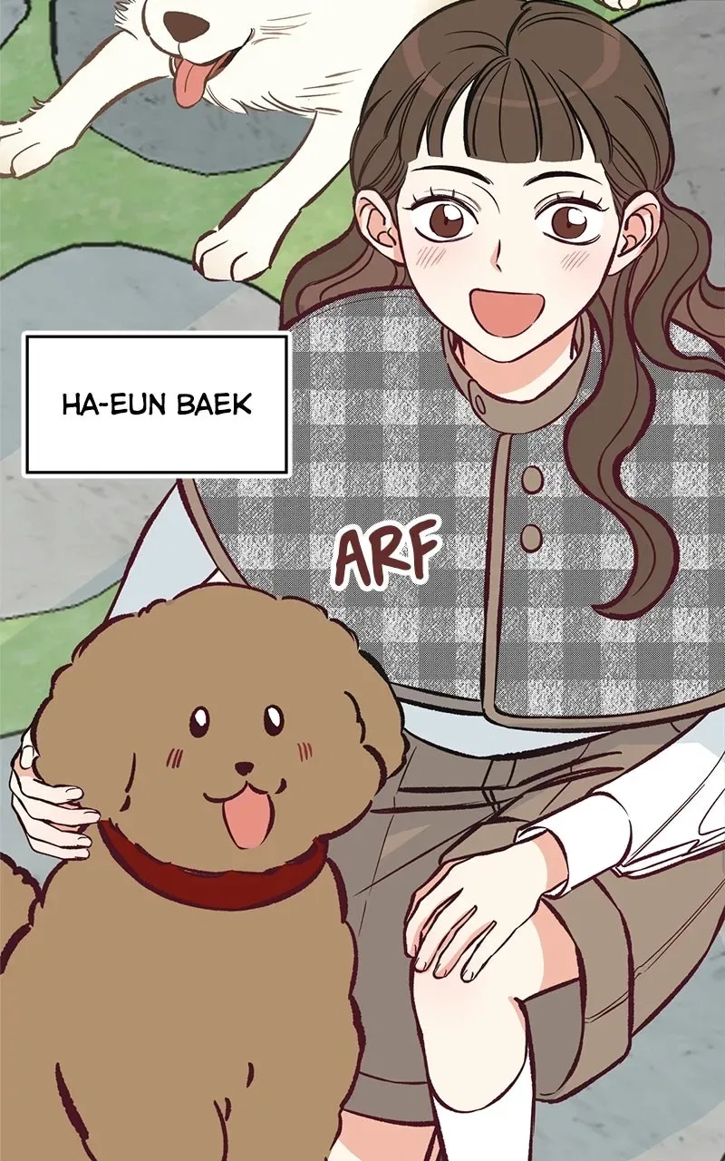Woke Up as the CEO’s Dog Chapter 61 – Page 12