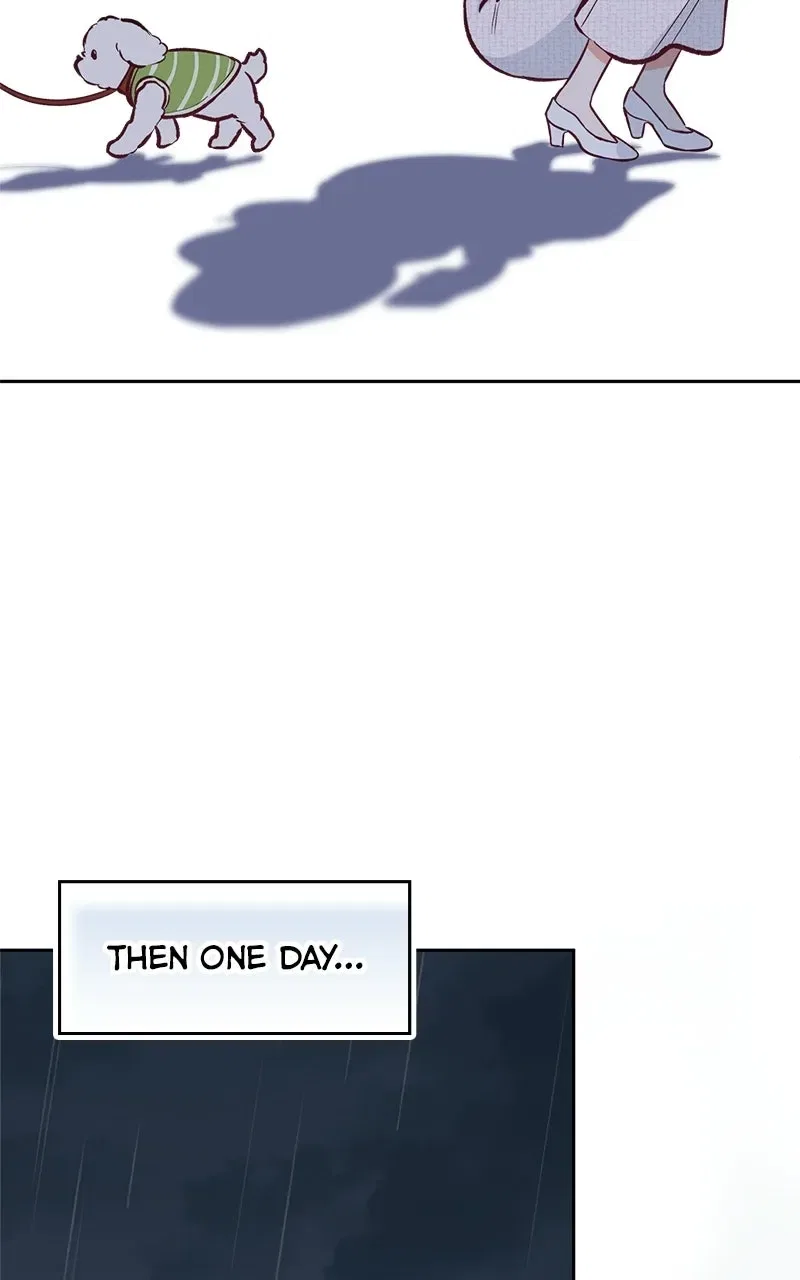 Woke Up as the CEO’s Dog Chapter 61 – Page 29