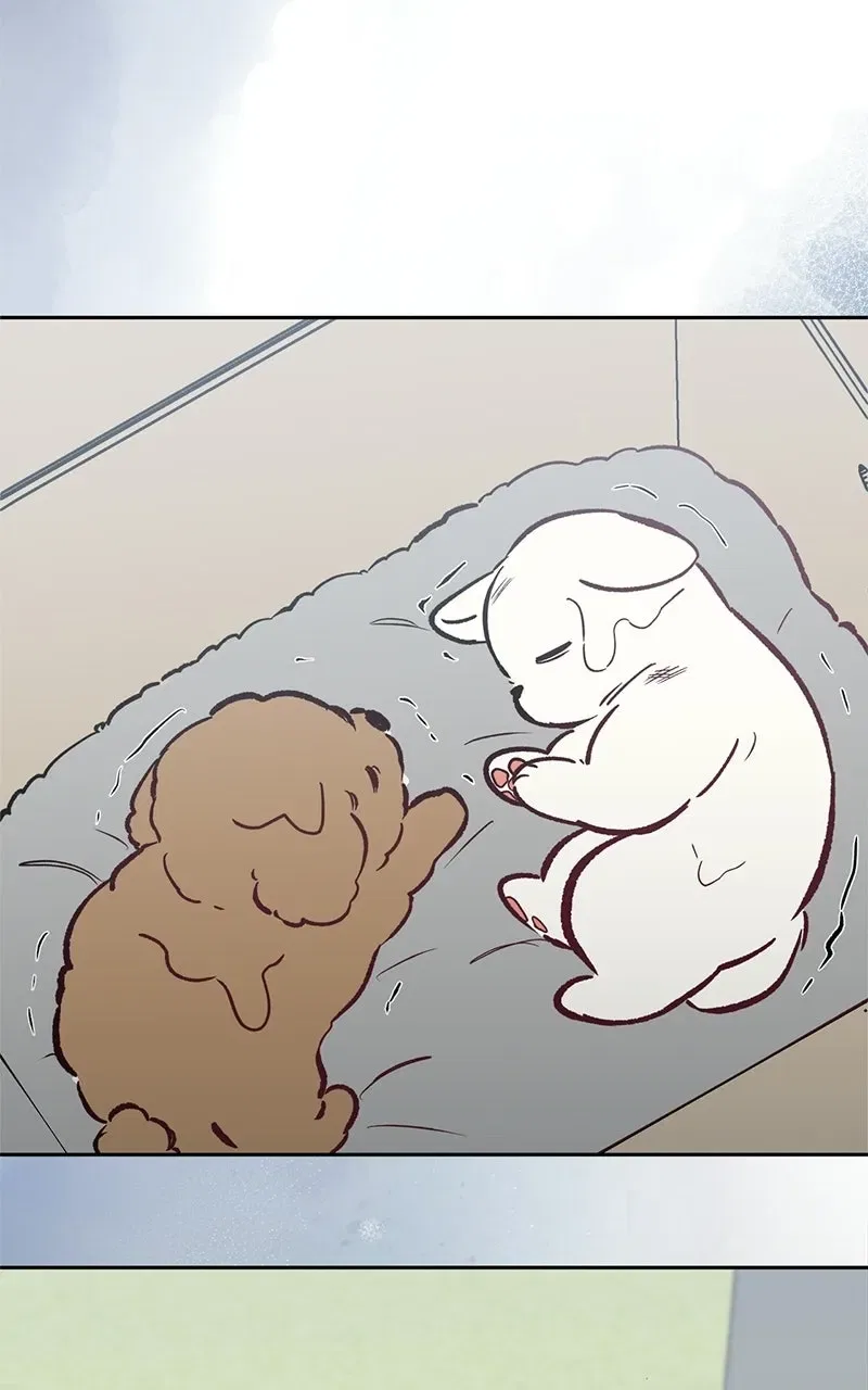 Woke Up as the CEO’s Dog Chapter 61 – Page 31