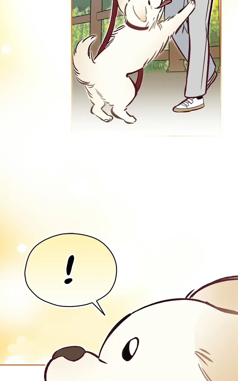 Woke Up as the CEO’s Dog Chapter 61 – Page 54