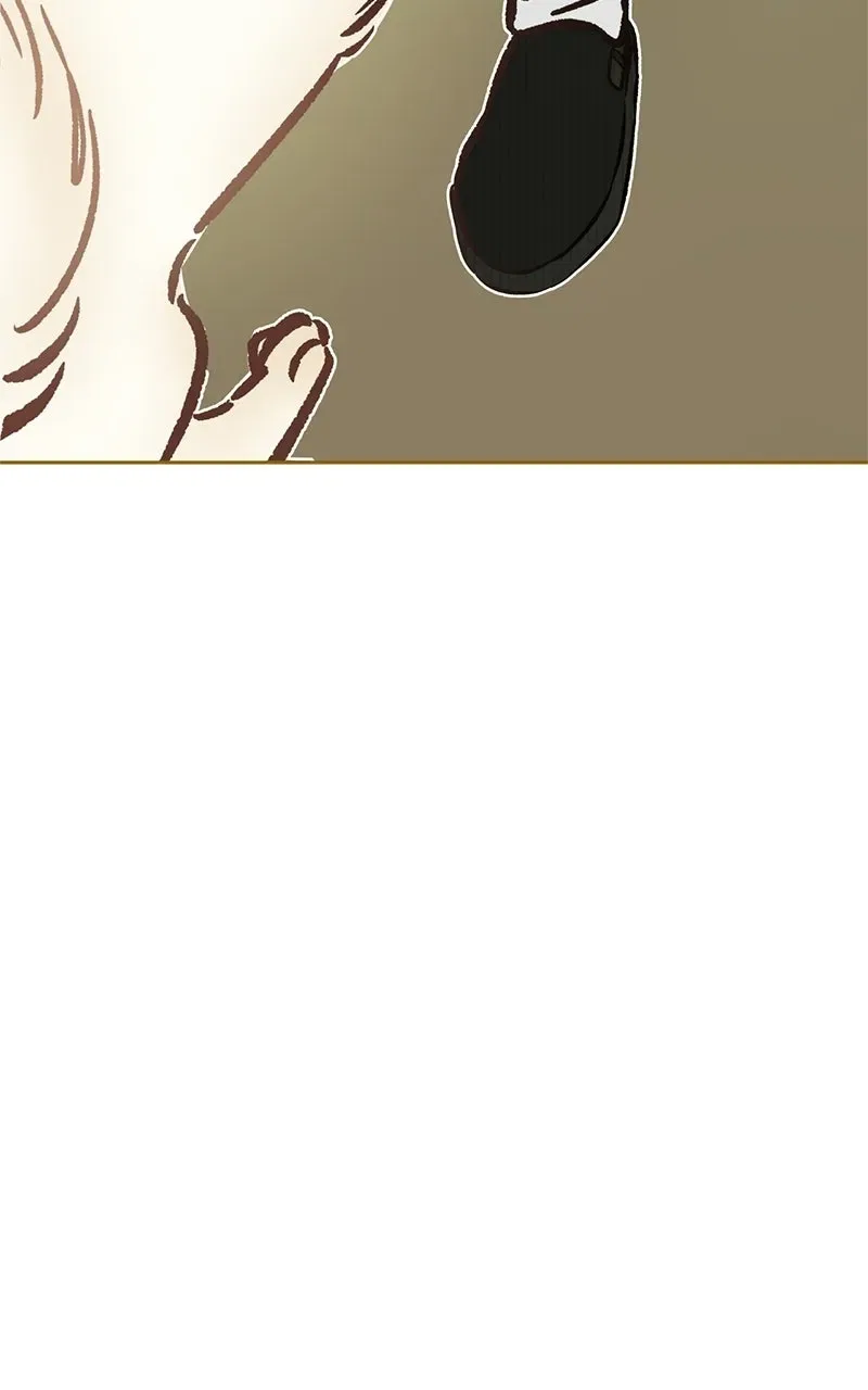 Woke Up as the CEO’s Dog Chapter 61 – Page 75