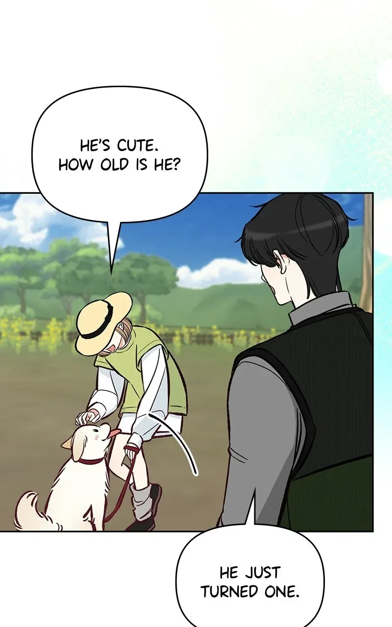Woke Up as the CEO’s Dog Chapter 61 – Page 79