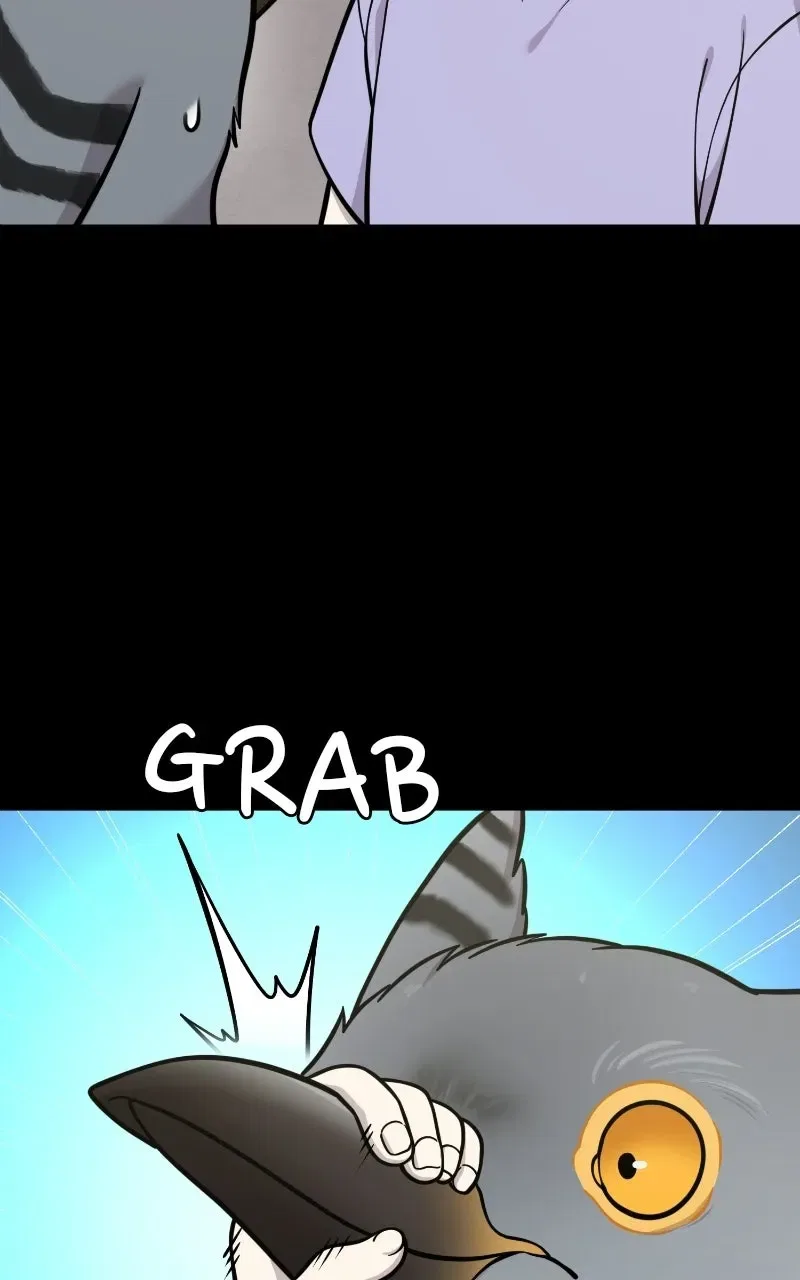 Hello, Little Griffin! Chapter 54 – Page 44