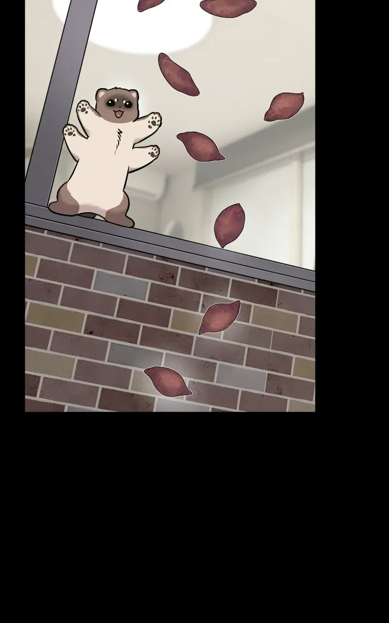 Hello, Little Griffin! Chapter 54 – Page 64