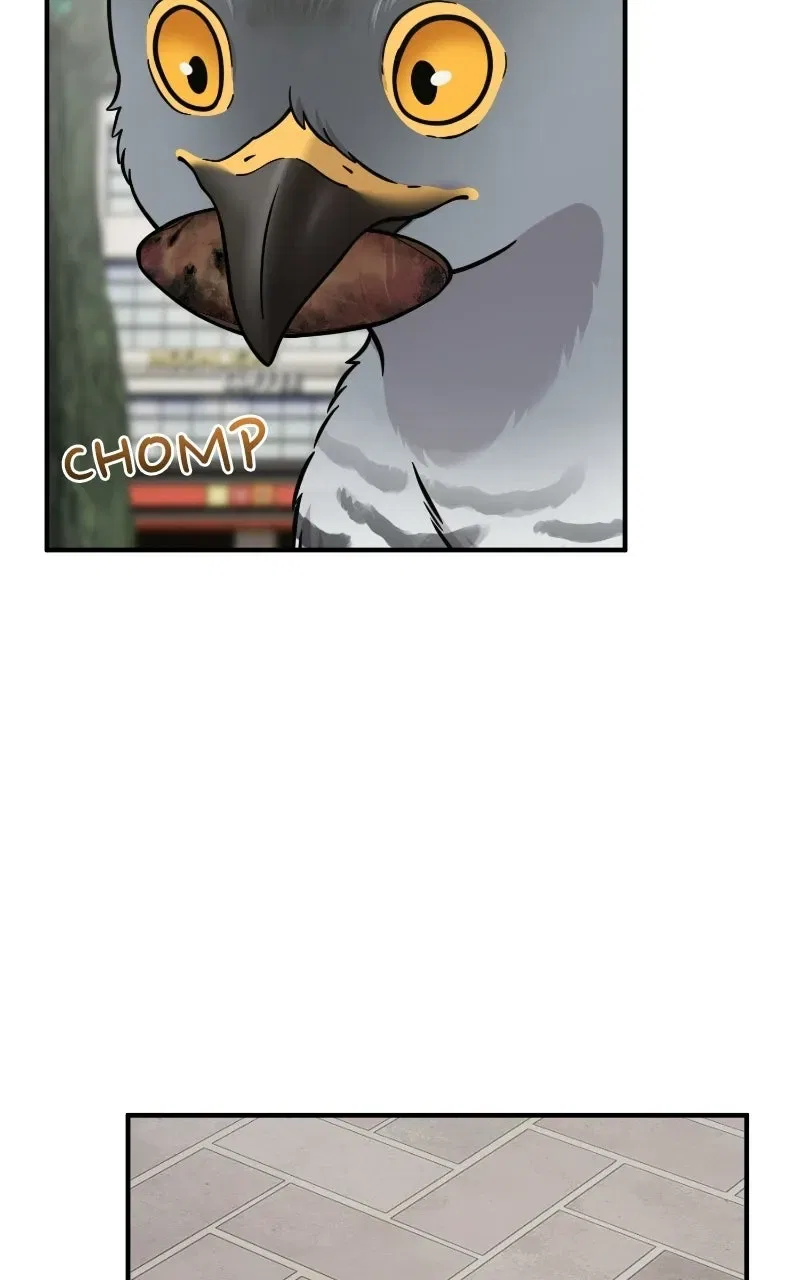Hello, Little Griffin! Chapter 54 – Page 85