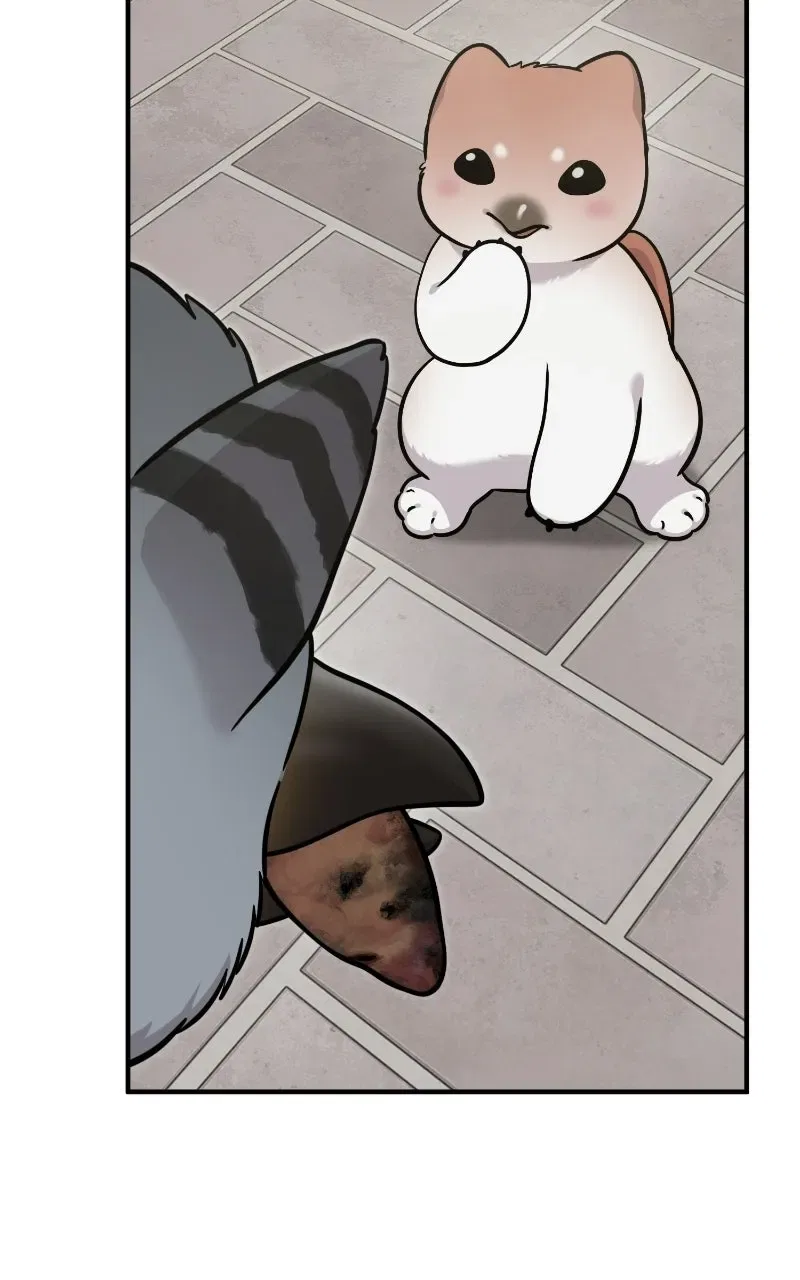 Hello, Little Griffin! Chapter 54 – Page 86